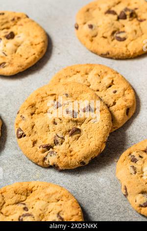 Warm Gooey Chocolate Chip Cookies Ready to Eat Stock Photo