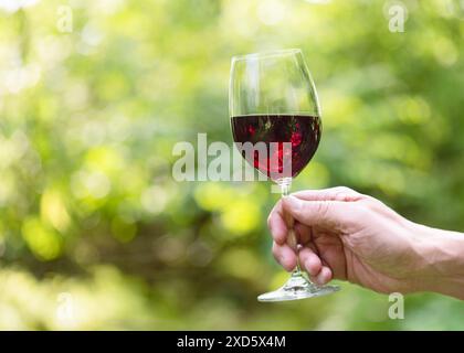 Hand holding a glass of delicious red wine on garden background with beautiful bokeh.  Summer vacation, party,  celebrating, drinking wine in nature. Stock Photo