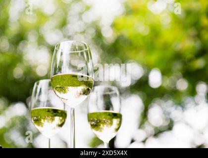 Three wine glasses with white wine and a beautiful bokeh on the background. The focus is on the reflection in the wine glass. Shallow depth of field. Stock Photo