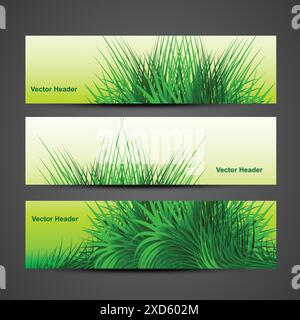 beautiful header with grass vector design illustration Stock Vector