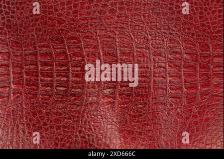 Structure of red reptile leather background macro close up view Stock Photo