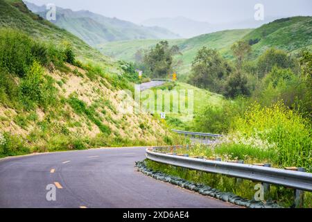 Green hills, wilflowers, and winding road at Chino Hills State Park. Stock Photo