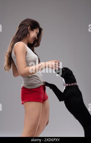 Young woman happily giving a treat to her black dog standing on two legs, showing love and care against a serene gray background Stock Photo