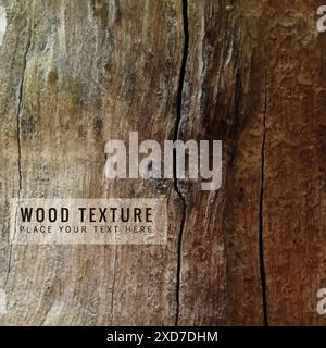 beautiful wood texture vector design illustration Stock Vector