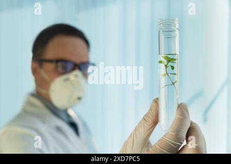 Close up of unrecognizable male scientist working with test tubes and plant samples while doing experiments in biotechnology lab. studying plants in t Stock Photo