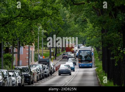 Berlin, Germany. 20th June, 2024. There is little traffic on Potsdamer Chaussee heading into the city this afternoon. The Chaussee is part of the Bundesstraße 1. Credit: Soeren Stache/dpa/Alamy Live News Stock Photo