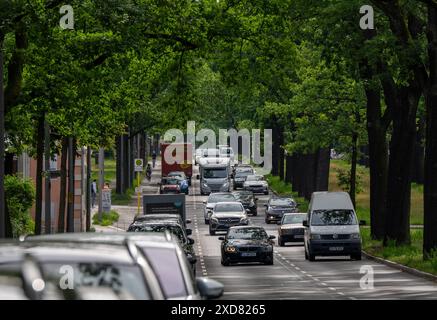 Berlin, Germany. 20th June, 2024. There is little traffic on Potsdamer Chaussee heading into the city this afternoon. The Chaussee is part of the Bundesstraße 1. Credit: Soeren Stache/dpa/Alamy Live News Stock Photo