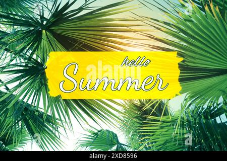 Hello Summer text against palms and bright sky on sunny day Stock Photo
