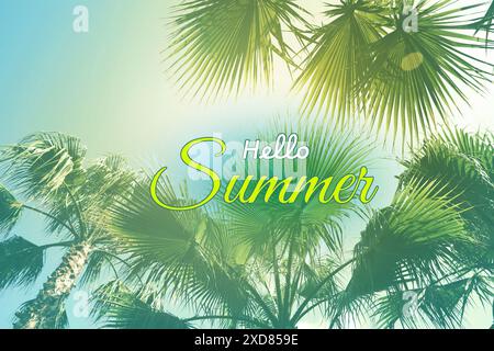 Hello Summer text against palms and bright sky on sunny day Stock Photo