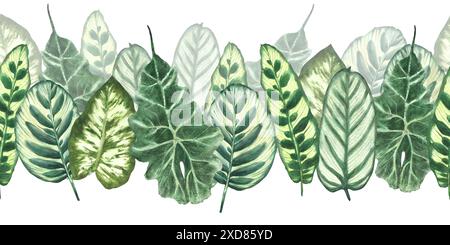 Tropical leaves watercolor seamless border. Jungle plants. Summer green realistic plant leaf, foliage. Hawaiian horizontal repeat flat pattern. Hand Stock Photo