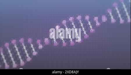 Image of dna strand spinning on purple background Stock Photo