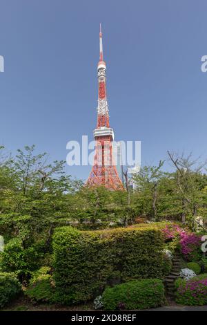 Tokyo tower from Zojoji  shrine, in Tokiy city, Japan Stock Photo