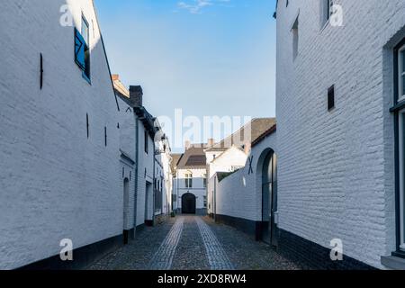 Traditional dutch houses painted in white in Thorn white village Stock Photo