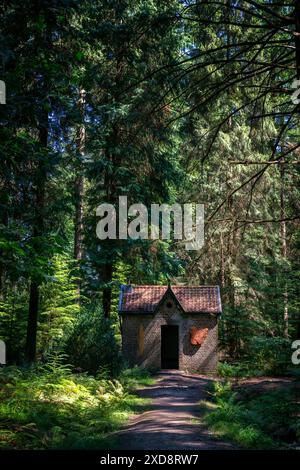 Abandoned creepy house in the forest in Mefferscheid ArTboretum Stock Photo
