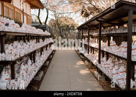 Pathway of Maneki-Neko at Gotokuji Temple, Tokyo, Japan Stock Photo