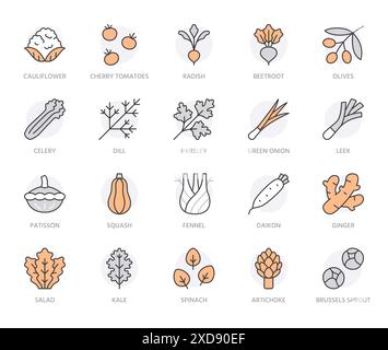 Vegetables line icon set. Kale, spinach, pumpkin, cherry tomato, cauliflower, beetroot, daikon minimal vector illustration. Simple outline sign for Stock Vector