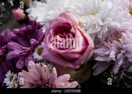 A close up closeup of a bouquet of old decaying flowers in the UK. Stock Photo