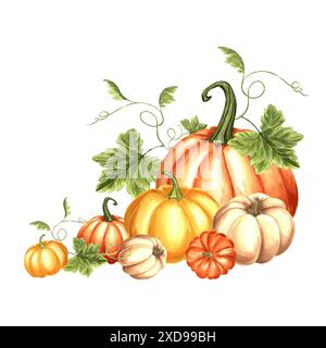 Pumpkins with leaves and tendrils. Harvest Autumn composition. Hand ...