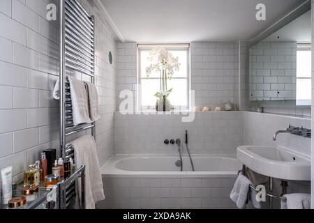 Backlit orchid in white tiled bathroom with wall mounted radiator in converted late 19th century Victorian school house, Battersea, London, UK Stock Photo