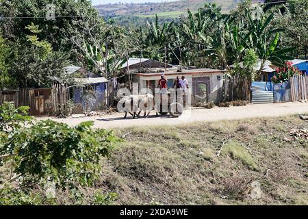 Ox cart near Holguin, Cuba, Cuba, Central America, A cart pulled by a horse on a dusty road in a tropical village Stock Photo