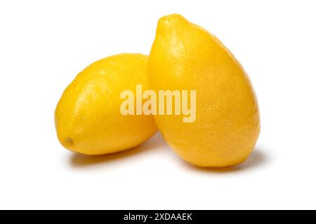 Pair of fresh ripe yellow lemon snack isolated on white background close up Stock Photo