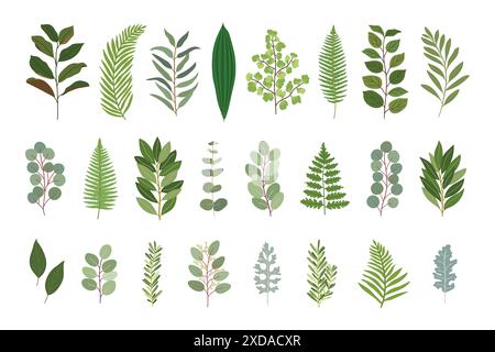 Wedding greenery collection. Set of magnolia, eucalyptus, bay, salal, fern, lemon,rosemary, olive natural leaves. Hand drawn vector illustration Stock Vector