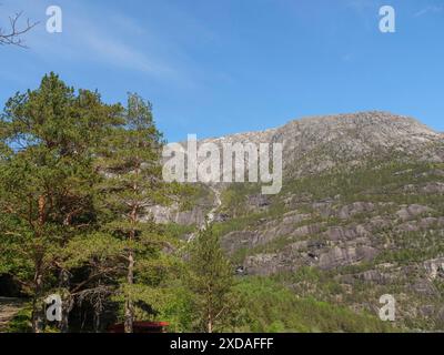 Atmospheric mountain landscape with massive rocks and green forests under a clear blue sky, eidfjord, norway Stock Photo