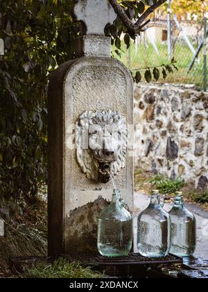 Filling glass water bottles at a public natural spring, crisp clear mineral water, lionhead fountain, rural area lifestyle Stock Photo