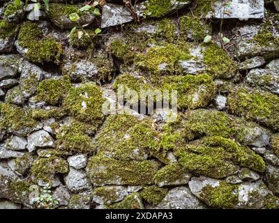 Background texture with mossy stone wall closeup shot Stock Photo
