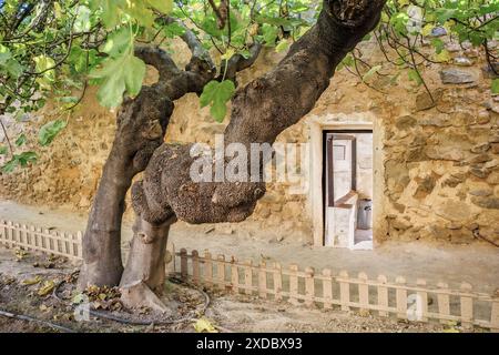 Miguel Hernández House Museum where the poet lived with his family from 1914 to 1934 in the city of Orihuela where he was born, Alicante, Spain. Stock Photo