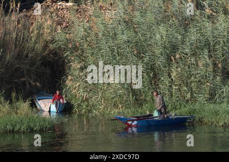 An Egyptian boy in modern dress sits laughing on a rowing boat watching a galabeya-clad man standing on another boat, both dwarfed by huge reeds. Stock Photo