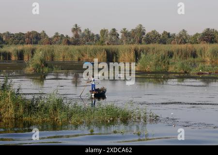 Two lone Egyptian fishermen punt their small wooden boats through the reeds in the shallow waters of the Nile river in the early morning light. Stock Photo