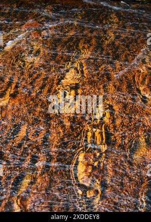 Pattern of red and orange jasper in the riverbed at Quebrada de Jaspe, Jasper Creek, Gran Sabana, Venezuela Stock Photo