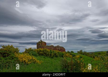 The 15th Century ruins of the Red Castle at Lunan Bay on the North East Cost of Scotland, with Flowring Gorse and storm Clouds above. Stock Photo