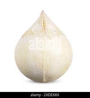 White coconut isolated on white background. coconut clipping path Stock Photo