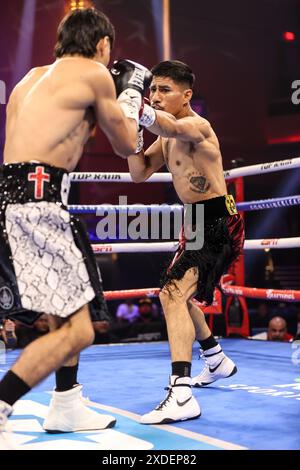 June 21, 2024: Top Rank Ring Girl Stephanie Ann Cook holds the NABO ...