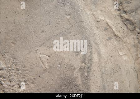 Old brown gray concrete or cement abstract wall textured background. Stock Photo