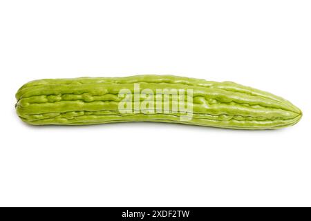 Bitter melon, bitter gourd,  bitter cucumber isolated on white background. Stock Photo