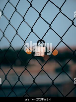 Closed padlock on metal net over sunset Stock Photo
