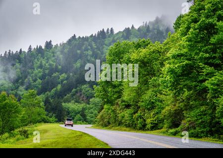 A car is driving on Blue Ridge Parkway in North Carolina as fog is rising up from the forest around Stock Photo
