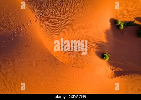 Aerial view of footprints and ripples over red sand dunes at Wentworth in New South Wales, Australia Stock Photo
