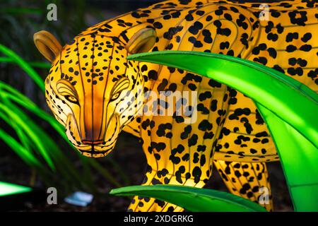 Leopard Chinese lantern art at Zoo Atlanta for IllumiNights at the Zoo in Atlanta, Georgia. (USA) Stock Photo