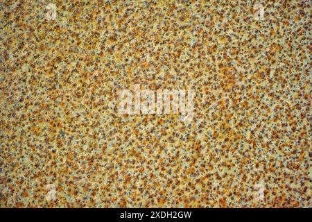 Texture, dots and wallpaper with color, abstract and closeup of pattern, art and creative with design. Decoration, grainy or circle for vintage Stock Photo