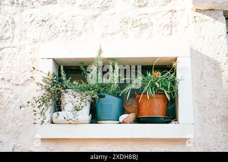 Colorful flowerpots stand on the windowsill of a small window of an ancient stone house Stock Photo