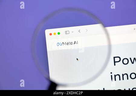 Ostersund, Sweden - Aug 4 2023: Meta AI website. Meta AI is an artificial intelligence laboratory that belongs to Meta Platforms Inc. Stock Photo
