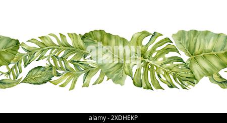 Watercolor green leaves endless seamless border. Banana and monsteria botanical pattern isolated on white background. For exotic tropical cosmetics Stock Photo