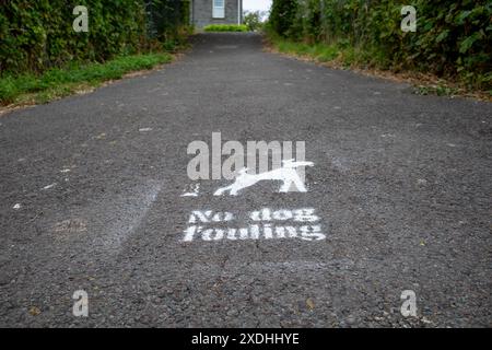 No dog fouling sign painted on the pavement Stock Photo