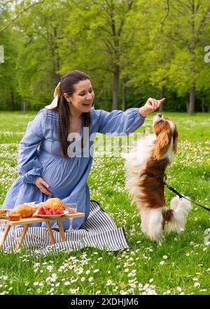 A happy pregnant woman rejoices while expecting her baby. Spends time in nature. Joyfully having fun with his dog, Cocker Spaniel, Cavalier King Charl Stock Photo