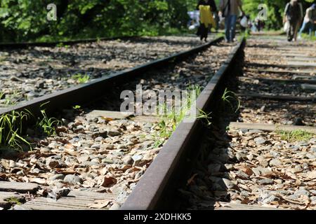 Keage Incline (old train tracks) in Kyoto, Japan Stock Photo