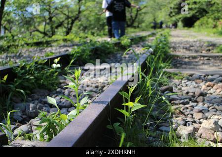 Keage Incline (old train tracks) in Kyoto, Japan Stock Photo